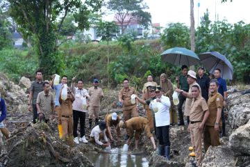 Penjabat Gubernur dorong Sulbar jadi pusat budi daya ikan nila