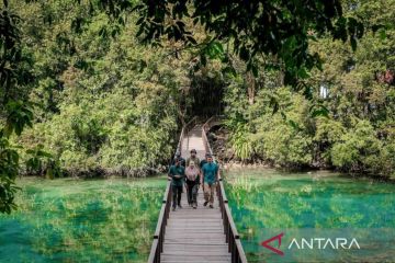 Menparekraf prioritaskan kelestarian ubur-ubur di Pulau Kakaban