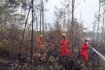 BPPIKHL lakukan penyekatan di lokasi karhutla di Sungai Rengit