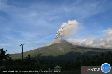 PVMBG: Hindari 3 kilometer dari pusat erupsi Gunung Lewotobi Laki-laki