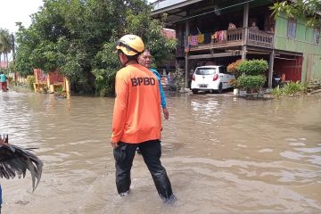 BNPB nyatakan 718 keluarga dievakuasi akibat banjir di Rappang Sulsel