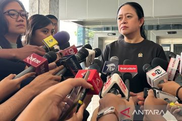 Puan ingatkan Dirjen APTIKA mundur tak ganggu proses pemulihan sistem