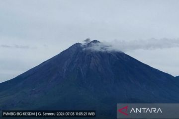 Gempa letusan masih mendominasi aktivitas Gunung Semeru di Lumajang