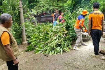 BMKG ingatkan warga NTT waspada angin kencang hingga 60 km per jam