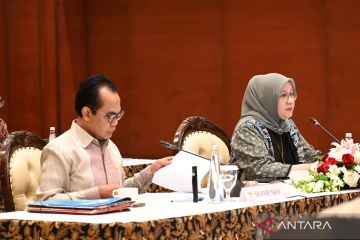 LNSW: Sistem INSW sederhanakan interaksi pelaku usaha dan pemerintah