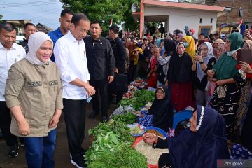 Presiden-Iriana kunjungi Pasar Bulukumba belanja buah dan sayur