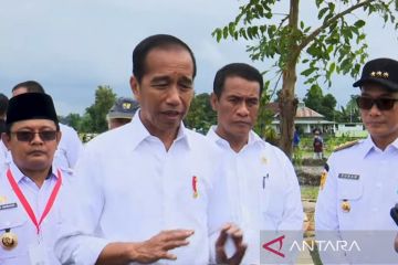 Jokowi: Swasembada pangan proses yang panjang karena tantangan iklim