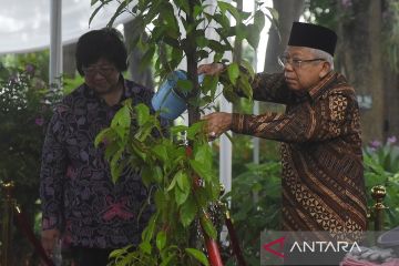 Wapres Ma'ruf Amin hadiri Hari Lingkungan Hidup Sedunia 2024, dan tekankan penanganan tiga krisis global