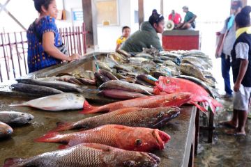 Album: Pasar ikan yang ramai di Papua Nugini