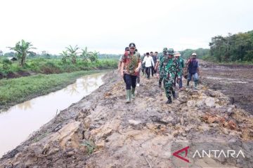 Pemkab OKU Timur dapat program oplah Kementan seluas 10.000 ha