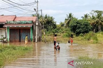 BPBD: 24 lokasi di Kota Bengkulu terendam banjir