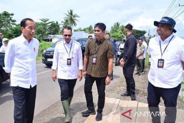 Pupuk Indonesia siapkan 4.800 ton pupuk subsidi, dukung pertanian Bone