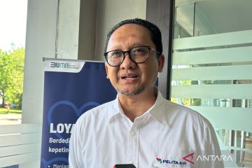 Pelita Air siap datangkan tiga pesawat dukung rute baru tahun ini