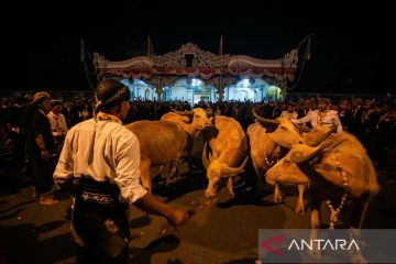 Kirab malam Satu Suro di Keraton Kasunanan Surakarta Hadiningrat