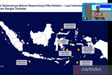 Kemenko Marves: Industrialisasi maritim berpeluang dikembangkan