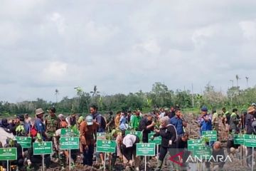 Pemprov Kaltim kerahkan pelajar tanam mangrove peringati HUT RI di IKN