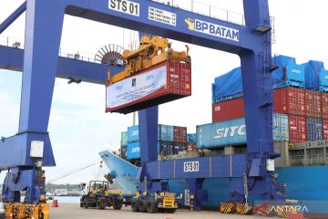 BP: Arus peti kemas di Pelabuhan Batam meningkat 7 persen