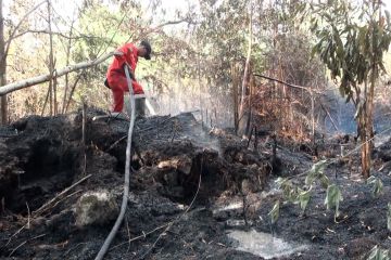 1,67 hektare lahan terbakar, api masih membara di dalam gambut