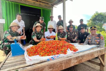 Pangdam Udayana dan Bupati Buleleng panen cabai di Singaraja 