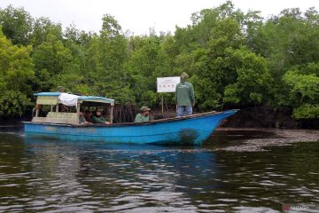 UGM latih 80 petugas pencatat serapan karbon pada mangrove