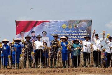 Mentan sebut kolaborasi kunci keberhasilan antisipasi krisis pangan