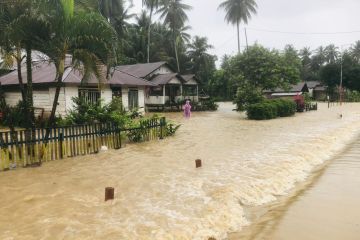 Lima desa di Kabupaten Banggai Sulteng terendam banjir setinggi 50 cm