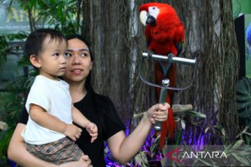 Mini Zoo di Pusat perbelanjaan Medan