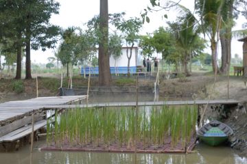 Kilang Pertamina Plaju desain Program Mina Padi buat petani Banyuasin