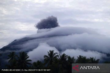 Gunung Ibu erupsi dengan amplitudo 10 mm selama satu menit pagi ini