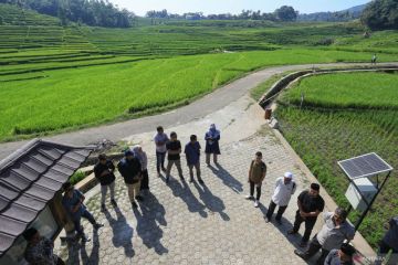 Tekad kelompok tani Aceh mengoptimalkan hilirisasi pertanian