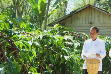 Presiden sebut pupuk tersedia menunjang peningkatan produksi petani