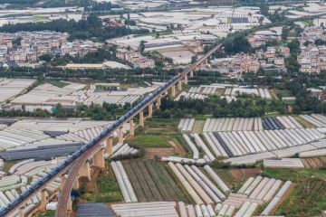 Jalur Kereta China-Laos fasilitasi transportasi buah-buahan