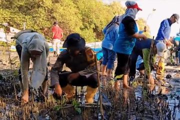 Polres Probolinggo jaga kelestarian lingkungan dengan tanam mangrove