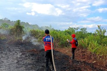 BMKG: Waspada potensi karhutla Kotawaringin timur meningkat