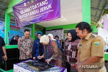 Tri Tito perjuangkan penguatan Posyandu masuk RPJMN 2025-2029