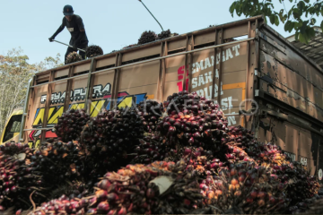 Penyaluran dana program peremajaan sawit rakyat