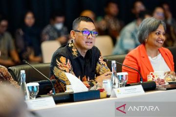 PLN siap suplai listrik hijau untuk industri lewat layanan GEAS