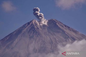 Aktivitas Gunung Semeru turun dari Level III menjadi Level ll