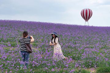 Personalisasi perjalanan suguhkan pengalaman berwisata baru di China