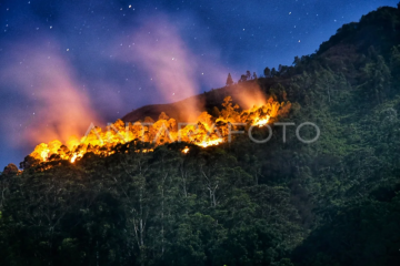 Kebakaran hutan lereng Gunung Sipiso-piso