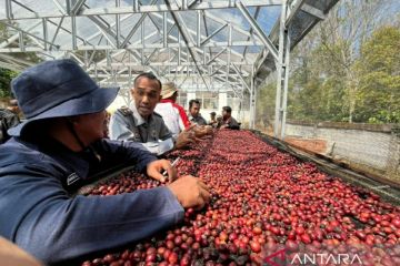 54 Indikasi Geografis jenis kopi telah terdaftar di DJKI Kemenkumham