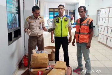 Balai Karantina Sulsel gagalkan penyeludupan 61 kilogram teripang