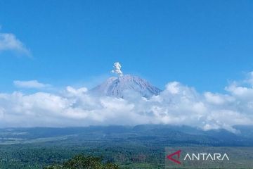 Gunung Semeru erupsi dengan letusan setinggi 600 meter