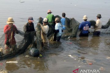 Menjaring ikan bercampur sampah di Bandar Lampung