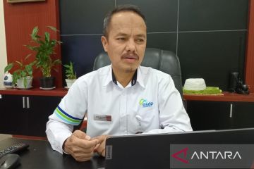 ASDP Baubau naikkan tarif pada dua lintasan tekan kerugian