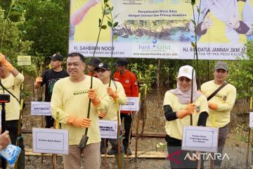 Kalsel tanam 245.000 mangrove pulihkan lahan kritis