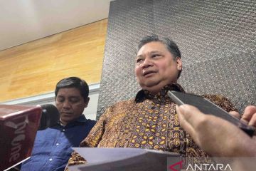 Airlangga: pemerintah siapkan studi "giant sea wall" utara Pulau Jawa