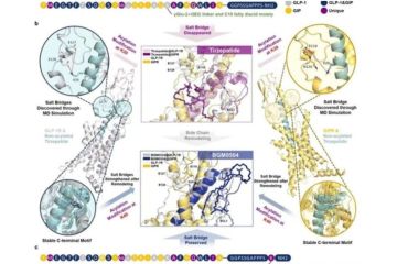 Riset "Nature": BGM0504 yang Didesain AI dan "Molecular Dynamics" Memiliki Khasiat yang Luar Biasa