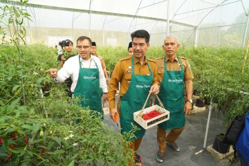 BI Jambi kembangkan penanaman cabai teknologi infratani di pesantren 