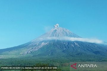 Gunung Semeru erupsi lontarkan abu vulkanik setinggi 900 meter